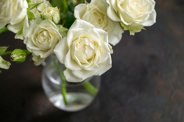 white blooming roses on a dark background.