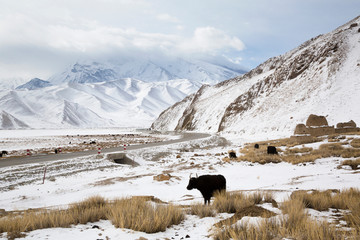 Winter view of Mustagh Ata Mountain at Karakul Lake  in Pamir Mountains, Kizilsu Kirghiz Autonomous Prefecture, Xinjiang, China