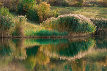 Fall colours reflected in the still waters of Lake.Autumn nature. Vivid morning in colorful park