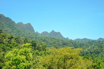 Face in the mountains of Langkawi Malaysia