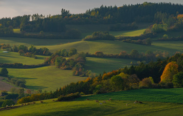 Fototapeta na wymiar Fields pasture land and meadows in sunset evening near Besiny village