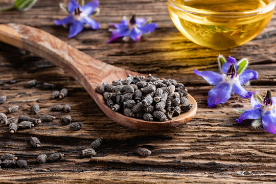 Borage seeds on a spoon, with borage oil and flowers in the background