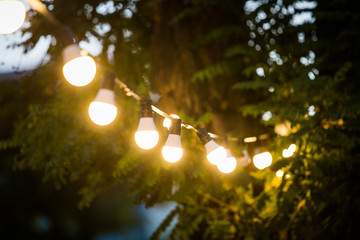 Garden lights on a string
