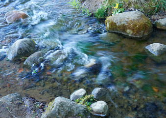 Fototapeta na wymiar A stream of water in a stream flowing between stones