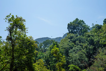 Obraz premium landscape with trees and blue sky