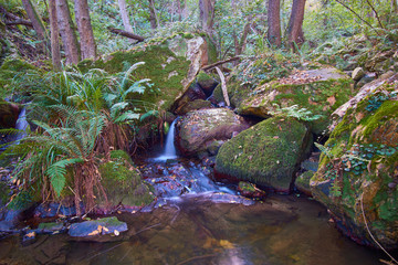 cascadas Guanga