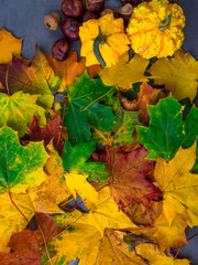 close upof Autumn background with colorful maple leaves and pumpkins, acorn, chesnuts Mockup for seasonal offers and holiday post card
