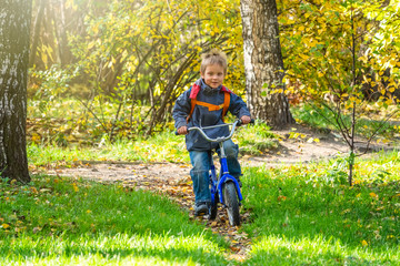 Little boy rides a bicycle in the autumn park.