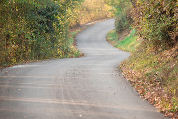 road and autumn,autumn forest natural background suitable for desktops