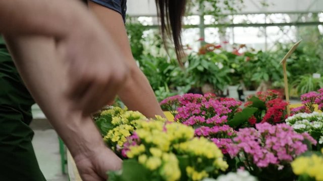 Girl and man working as florist in flower store. Sales manager giving help to co-worker with plants and flowers in greenhouse. Teamwork and collaboration with happy workers smiling and talking