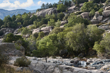 Fototapeta na wymiar El río Manzanares a su paso por La Pedriza en el Parque Natural de la Sierra de Guadarrama. Comunidad de Madrid. España