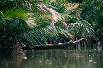 Fototapeta premium Nypa fruticans, Nypa fruticans Wurmb, mangrove forest