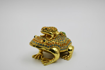 Schmuckfrosch