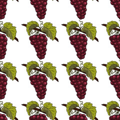 Grapes purple isolated pattern