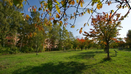 Fototapeta premium Ehemaliger Todesstreifen zwischen Berlin und Teltow 30 Jahre nach dem Mauerfall