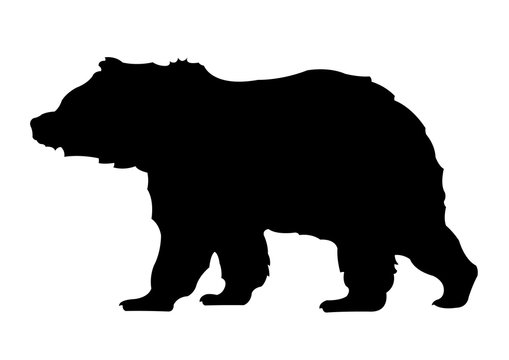 Bear silhouette vector illustration isolated