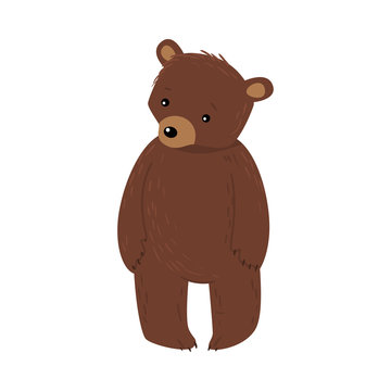 Brown bear standing and feeling disappointed and frustraited vector illustration