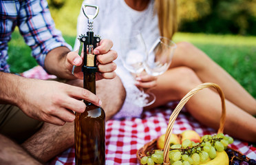 Couple enjoying picnic in the park, close up photo. Love and tenderness, dating, romance, lifestyle...