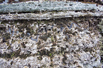 Stones texture and background. Rock texture