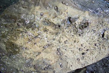 Stones texture and background. Rock texture