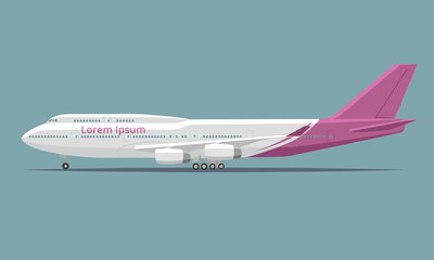 Large airliner vector illustration. Wide-body passenger aircraft