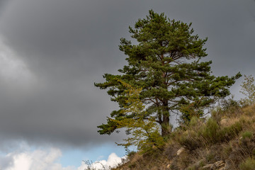 Gorges du Loup du cot&eacute; de Courmes