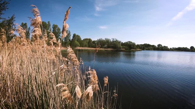 Sch&ouml;f am See 