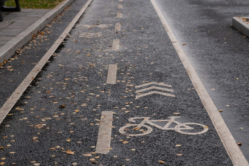 Fototapeta premium Bike path, dark road and yellow lines.