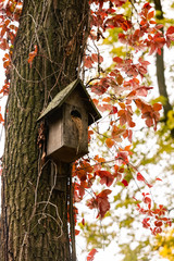 wooden birdhouse on a tree in the forest and park