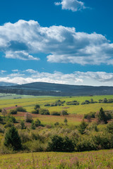 Scenic View Of Pine Trees and Mountains Against Sky