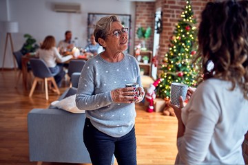 Family and friends dining at home celebrating christmas eve with traditional food and decoration, women talking together happy and casual