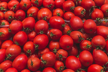 Close up food photo of organic tomatoes at the farmers market stall