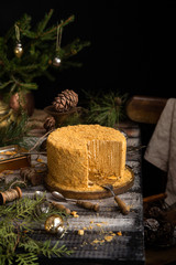 homemade tasty honey cake with vertical layers and white cream