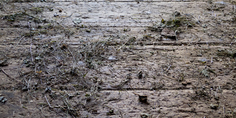 dunkler schmutziger Holzboden mit Heuresten als Panoramabild