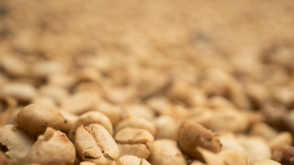 Fototapeta na wymiar Colombian coffee beans being prepared