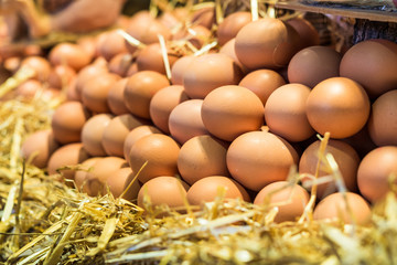 Fresh free range chicken eggs at a farmers market