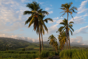 chemin coco