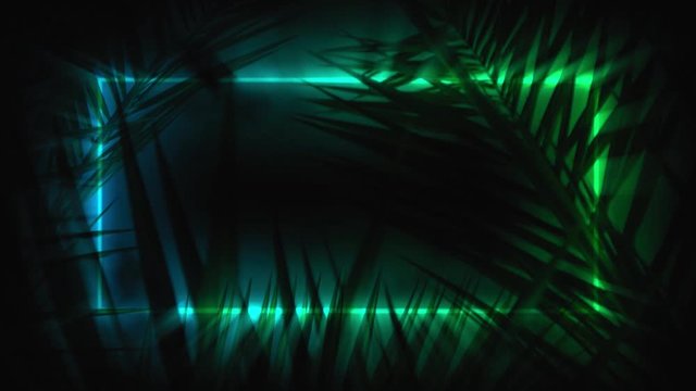 Neon glowing light frame appears behind tropical palm tree leaves. Vibrant trendy neon light render animation with empty space for text.