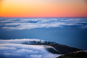 Nature background with sunrise over clouds. It is on the top of Pico do Arieiro mountain, Madeira island, Portugal. The trees are shrouded in the middle of the clouds.