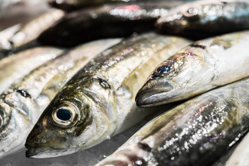 Close up food photo of fresh organic fish at the farmers market stall