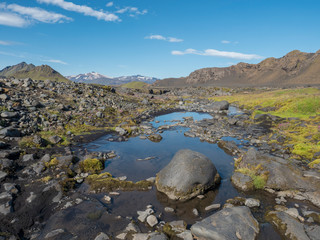 Icelandic volcanic landscape with small blue pond, wild pink flowers,green hills and mountains. Fjallabak Nature Reserve, Iceland. Summer blue sky