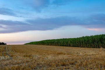 Obraz premium Harvested farmland with crop field under evening sky