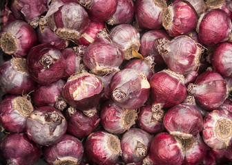 red onion lies in a heap only collected from the farm