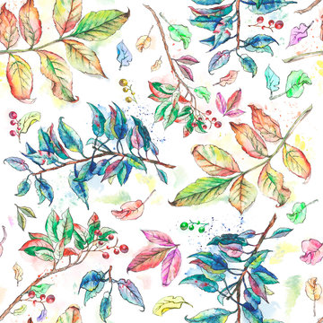 Watercolor illustration with image forest foliage. Colorful bright leaf set for printing on fabric. Natural card with autumn background. Organic texture.