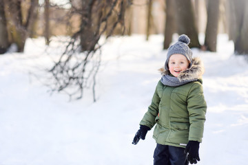 Fototapeta na wymiar Cute little boy having fun playing during walking in the snowy park .