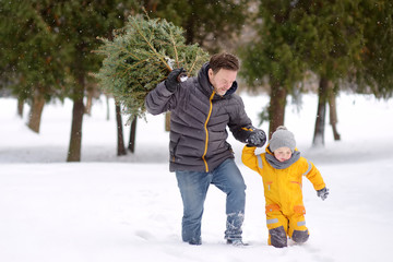 Little boy with his father bring a Christmas tree from winter forest overcoming snowdrifts and...