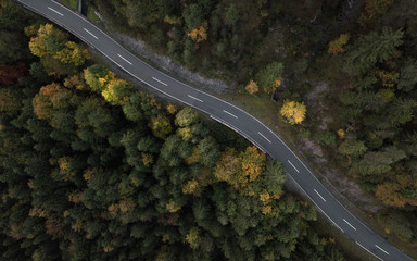 seasonal mountain road leading into the forest