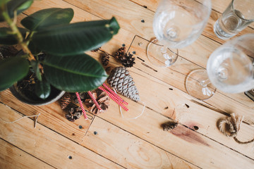 Plant standing on the wooden table with pine cones and glasses