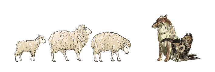Two sheeps and lamb are walking towards the wolf.