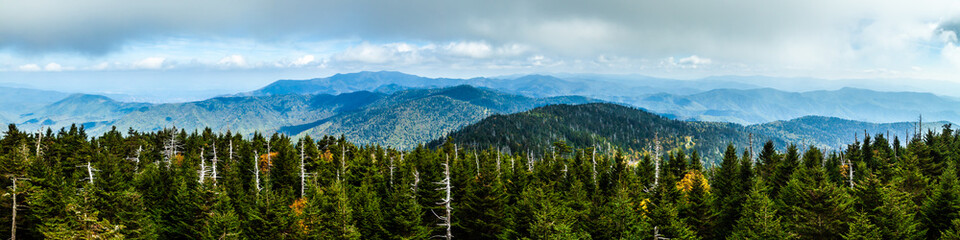 Beautiful Smoky Mountain Landscape